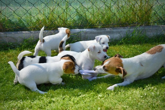 JRT stenda.jpg