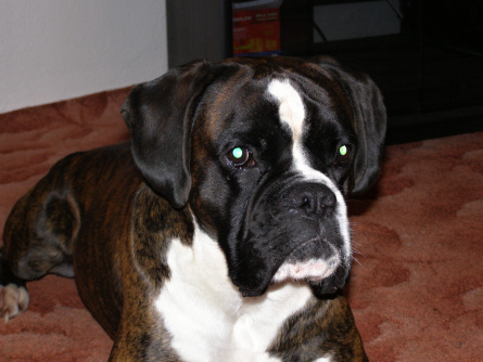 PC190006.JPG